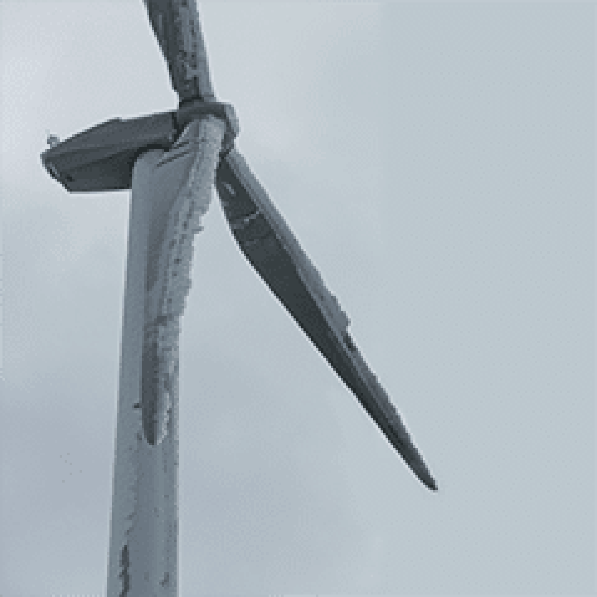 Ensuring wintertime profits with blade heating image