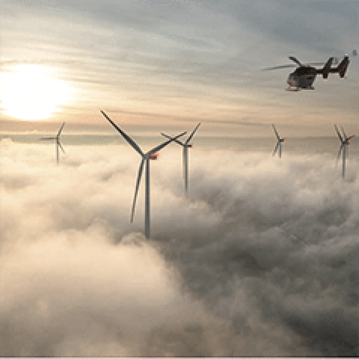 Combating 'light pollution' with grit and innovation image