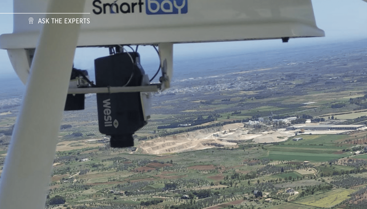 Plant inspections on the fly image