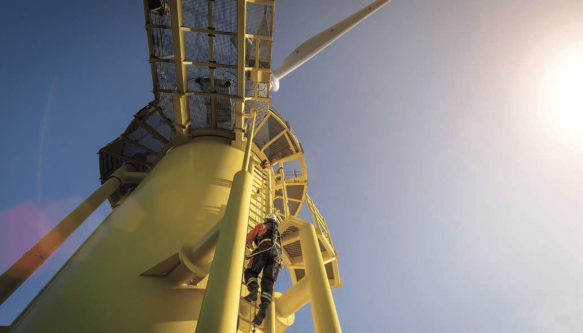 Wrestling risk in green projects: take time to think before acting image