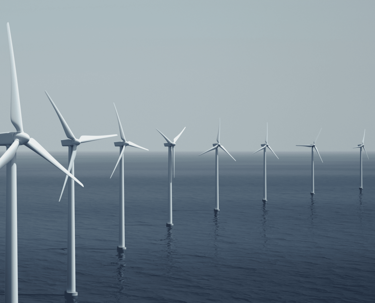 Which way is the wind blowing for renewable energy? image