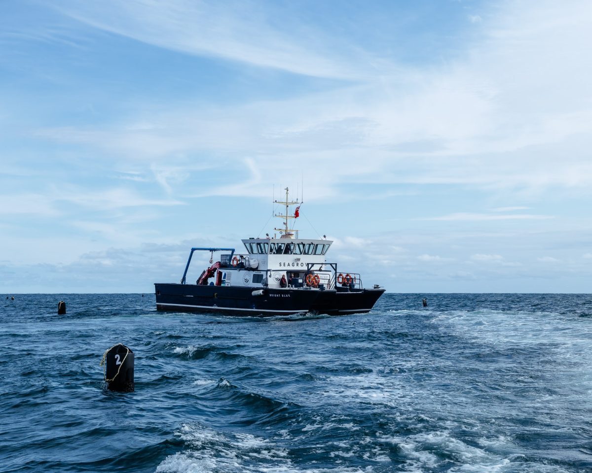 RWE announces winners of global offshore wind co-use competition image