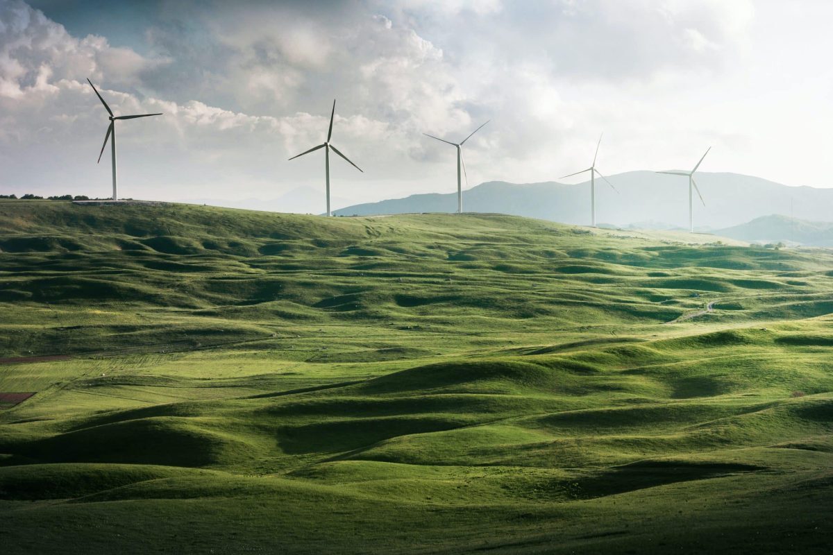 Green hydrogen: overhyped or underestimated? image