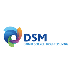 DSM announces DSM Advanced Solar backsheets business to be acquired by Worthen Industries, Inc. image