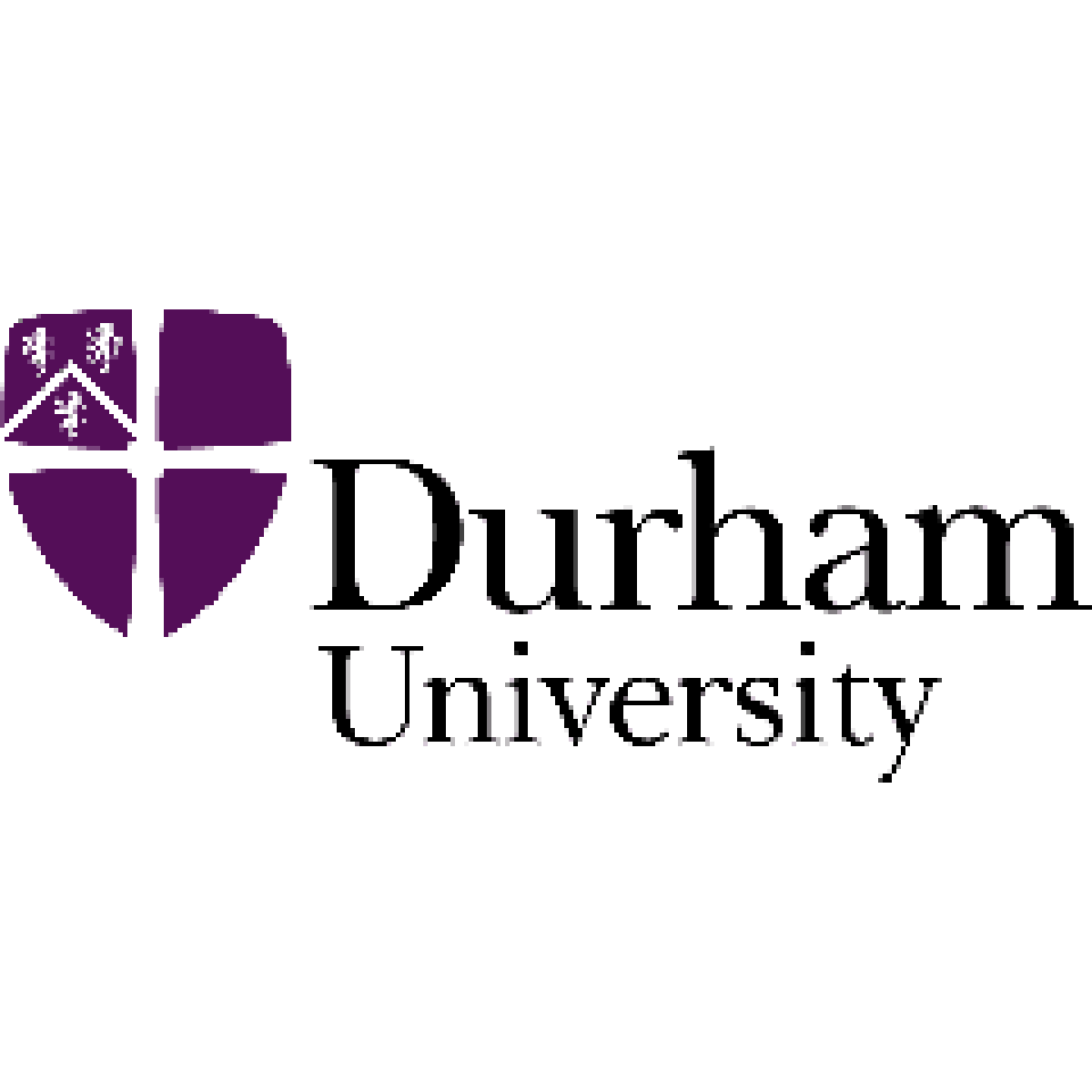 Durham University launches new Master of Energy Systems Management image