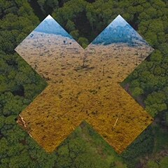 Extreme E celebrates World Rainforest Day with updates on its Amazon legacy programmes image