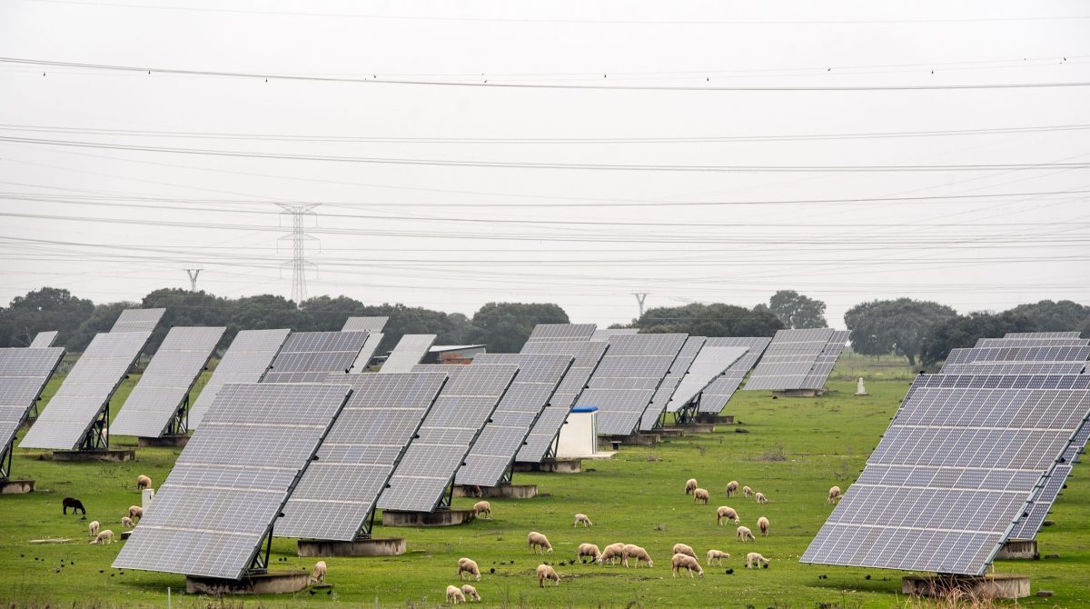Agrivoltaics represents a new industrial farming revolution image