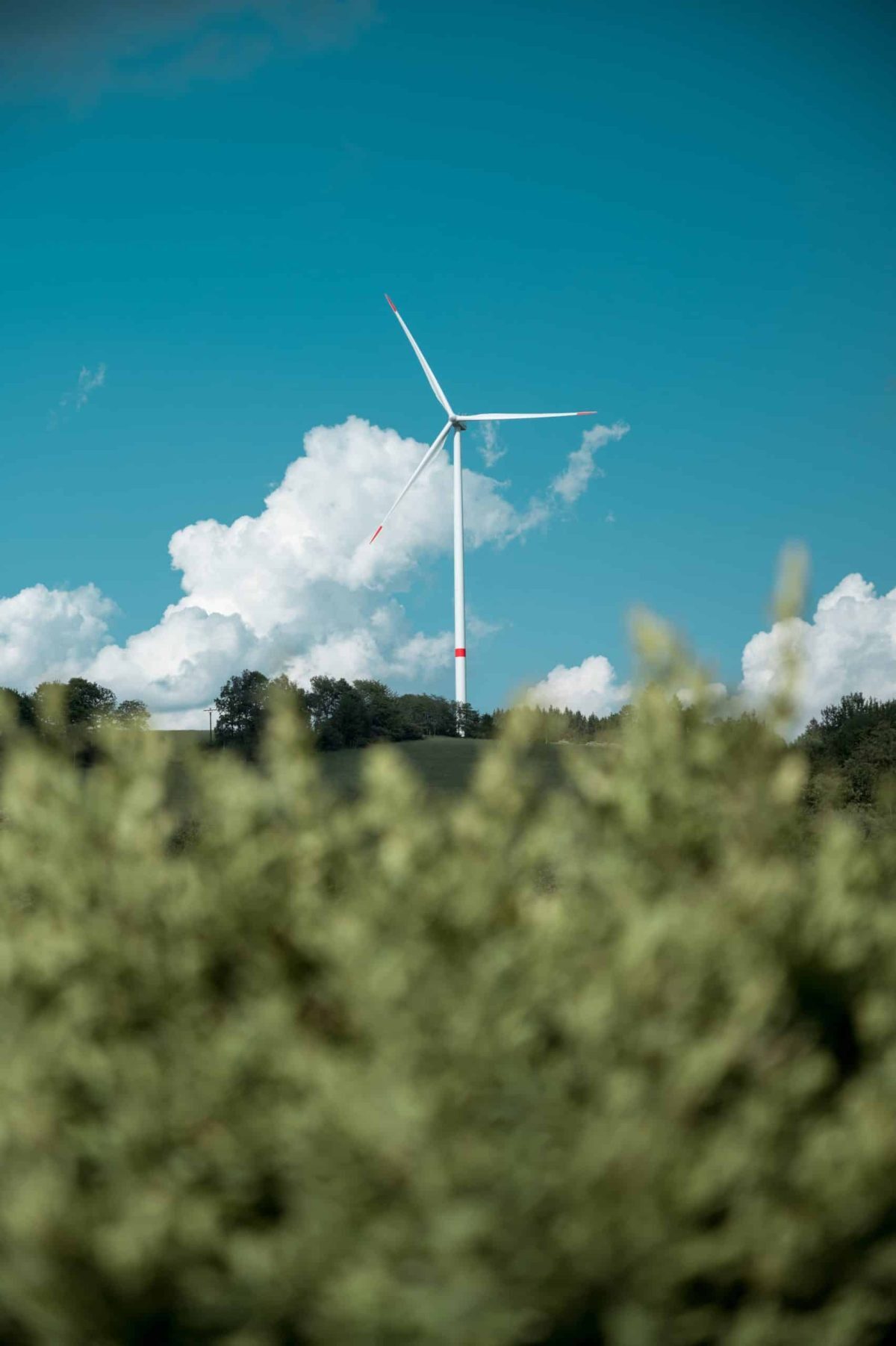 Northern Ireland's renewable ambitions face achievable challenges image