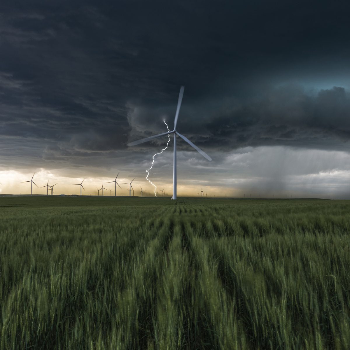Lightning behaviour: 'what we're missing in blade protection image