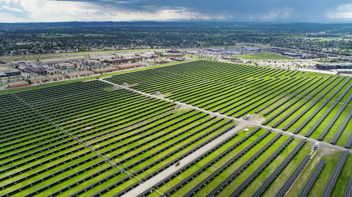 From Canadian roots to global solar leader image
