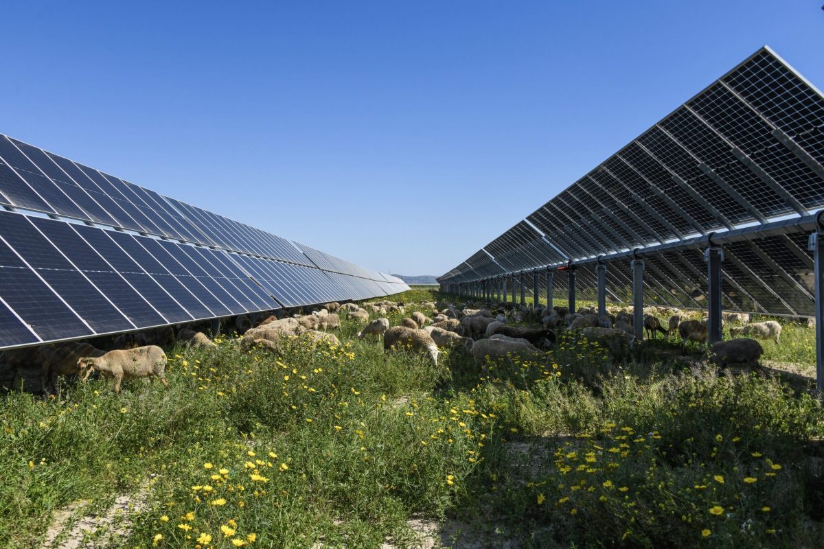 Achieving energy independence during challenging times image