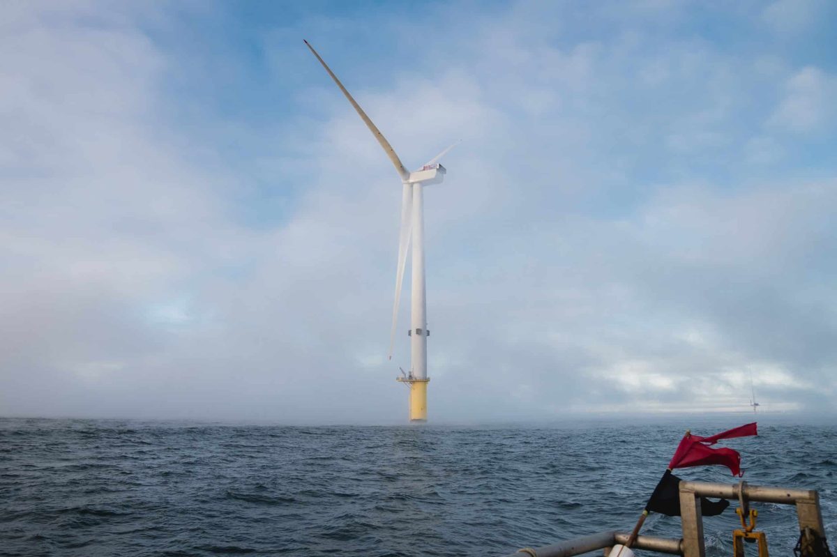 eDNA breakthrough set to revolutionise ecological surveys for offshore wind image