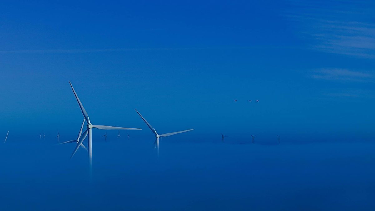 Navigating the complexities of offshore cabling: the lessons and challenges image