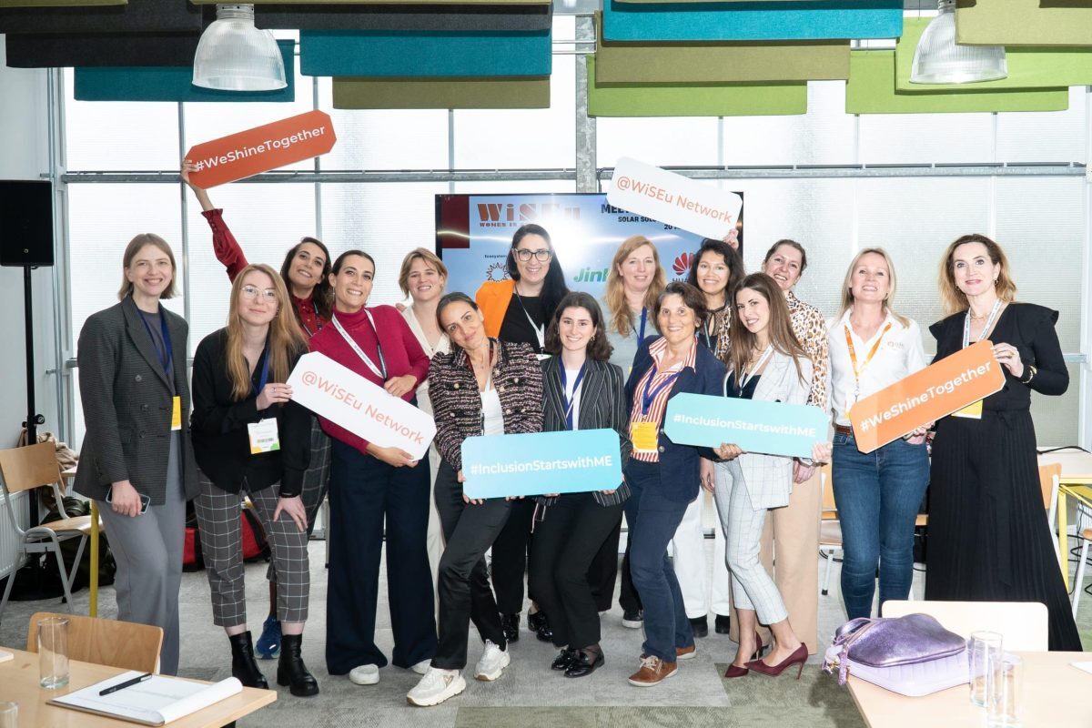 The business case for gender equality in the solar industry: a women's issue image