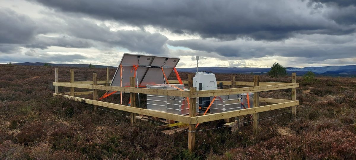 Cairn Duhie Wind Farm wins with pure lidar approach image