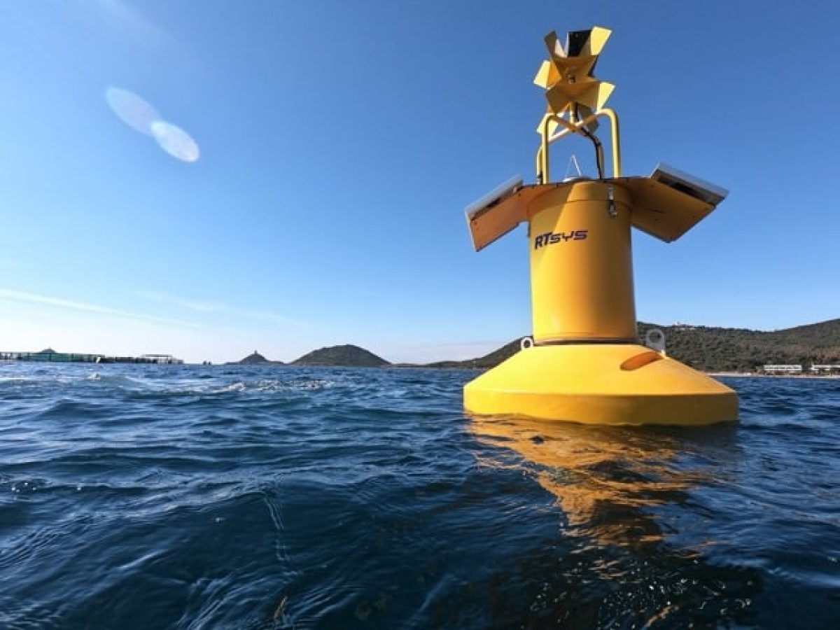 Offshore wildlife protection: acoustic monitoring and AI detection image