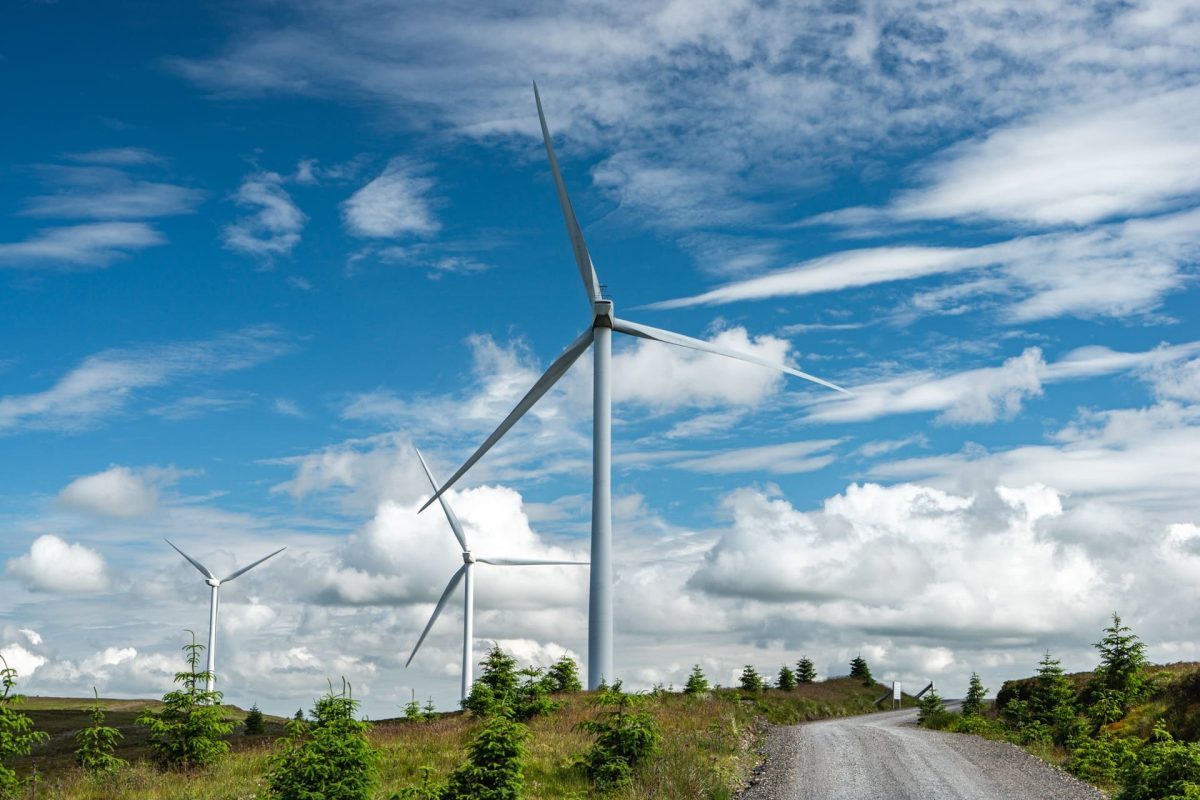 Unlocking the value of your project in an uncertain world image