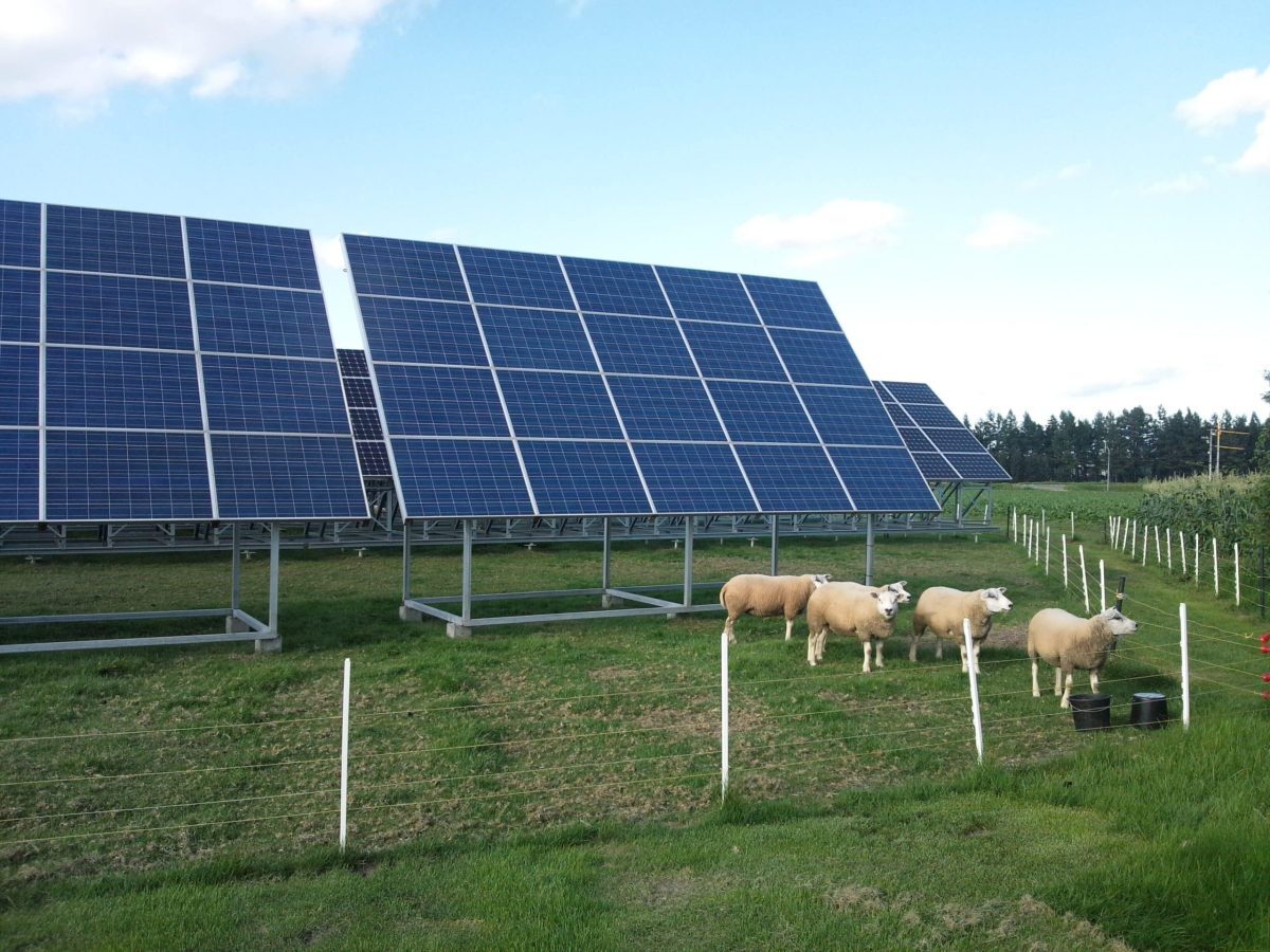 How smart solar energy can fuel the next revolution in Ag-Tech image