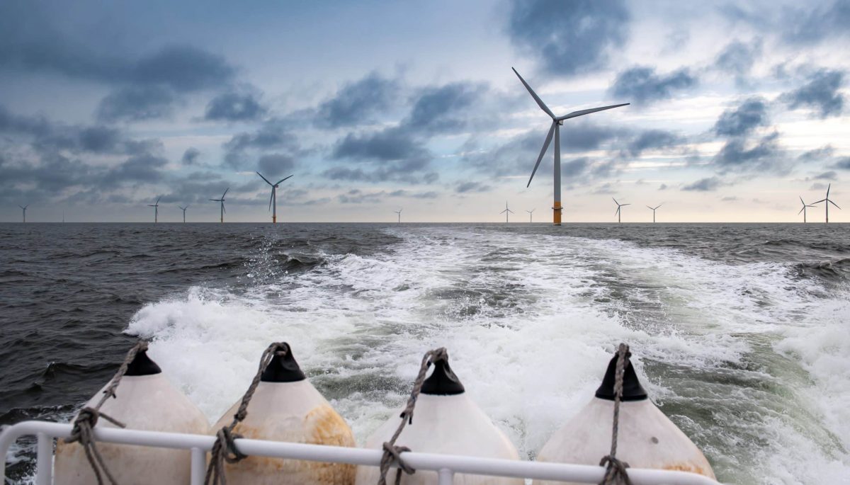 Unknown unknowns: facing uncertainty in the US renewables industry image