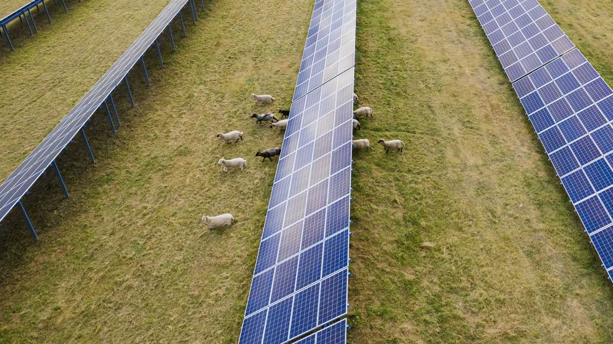 Natural Power supports Octopus solar acquisition in France image