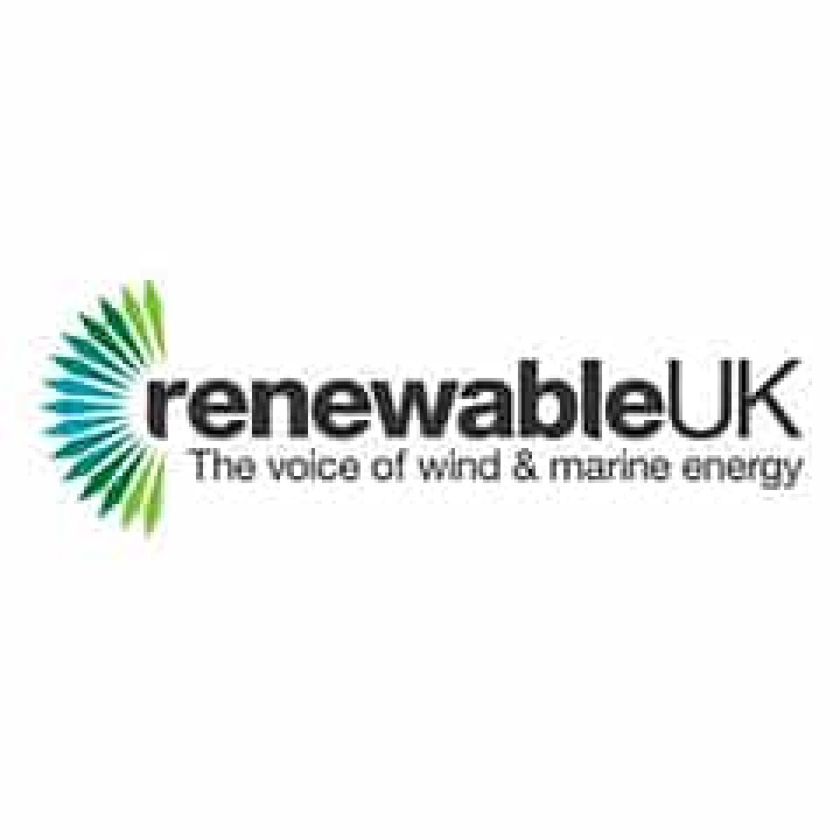 RenewableUK's new webinar series on decarbonisation and collaboration in wind and aviation image