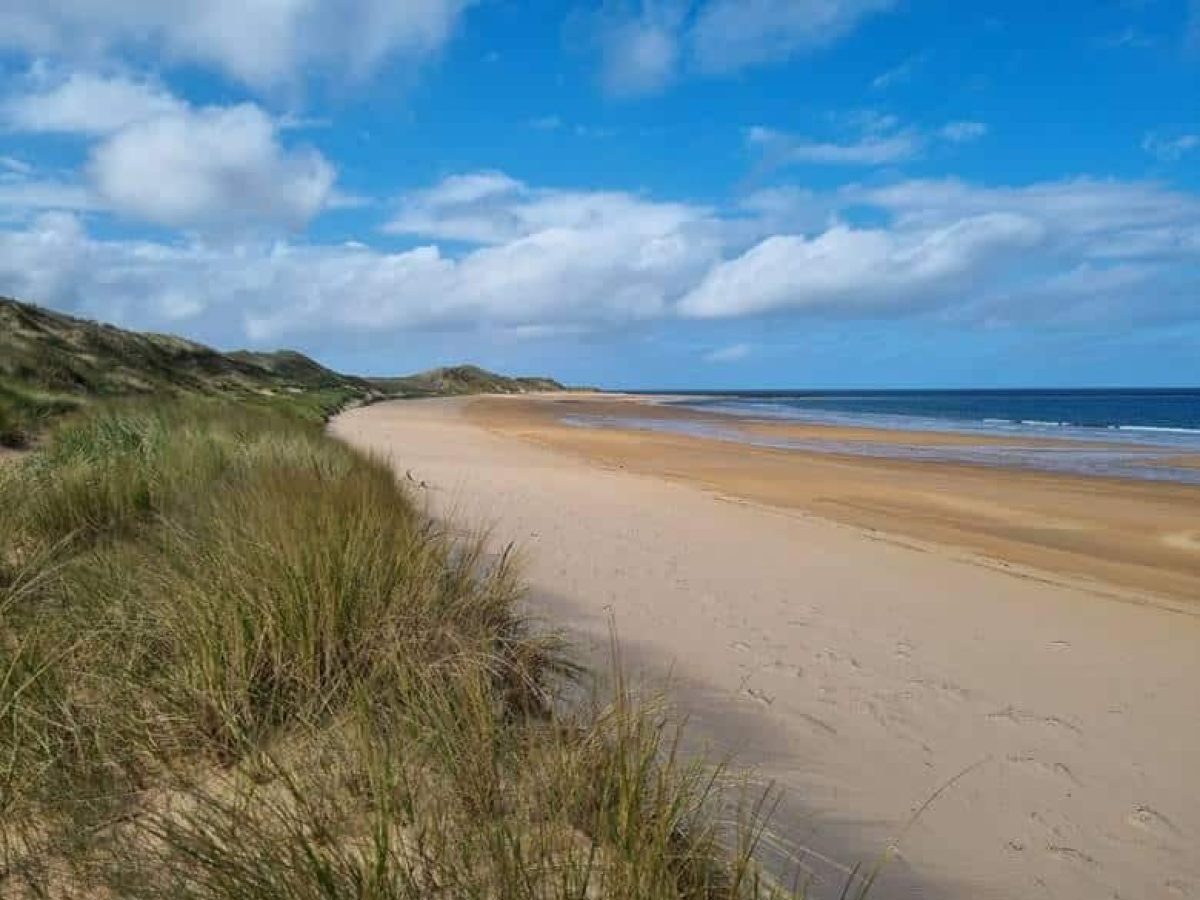 Salamander offshore wind farm secures critical onshore consent milestone image