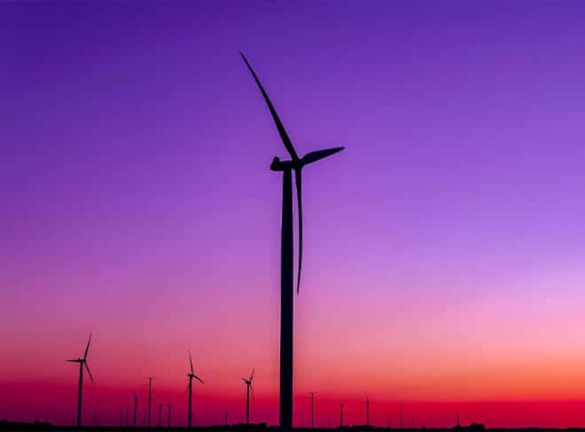 How Belgium's wind and hydrogen sector is preparing for tomorrow's energy needs? image