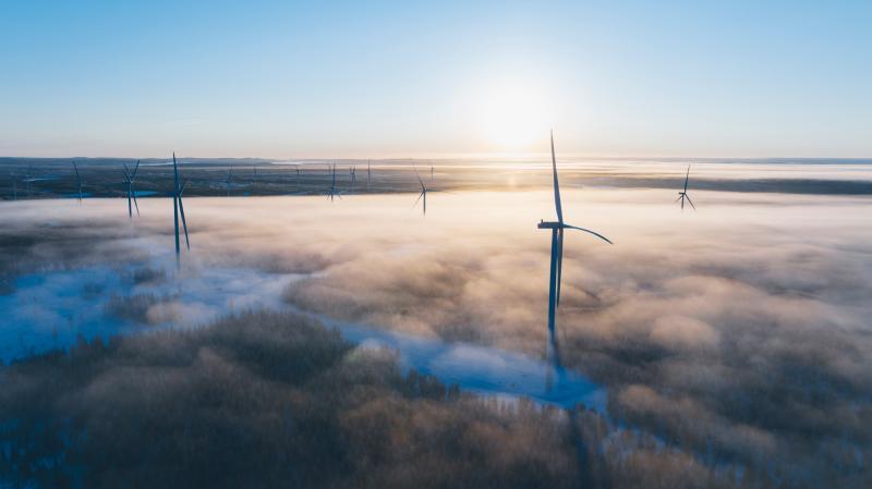Sweden to get wind-energy lift with EIB loan to forest-industry group Holmen image