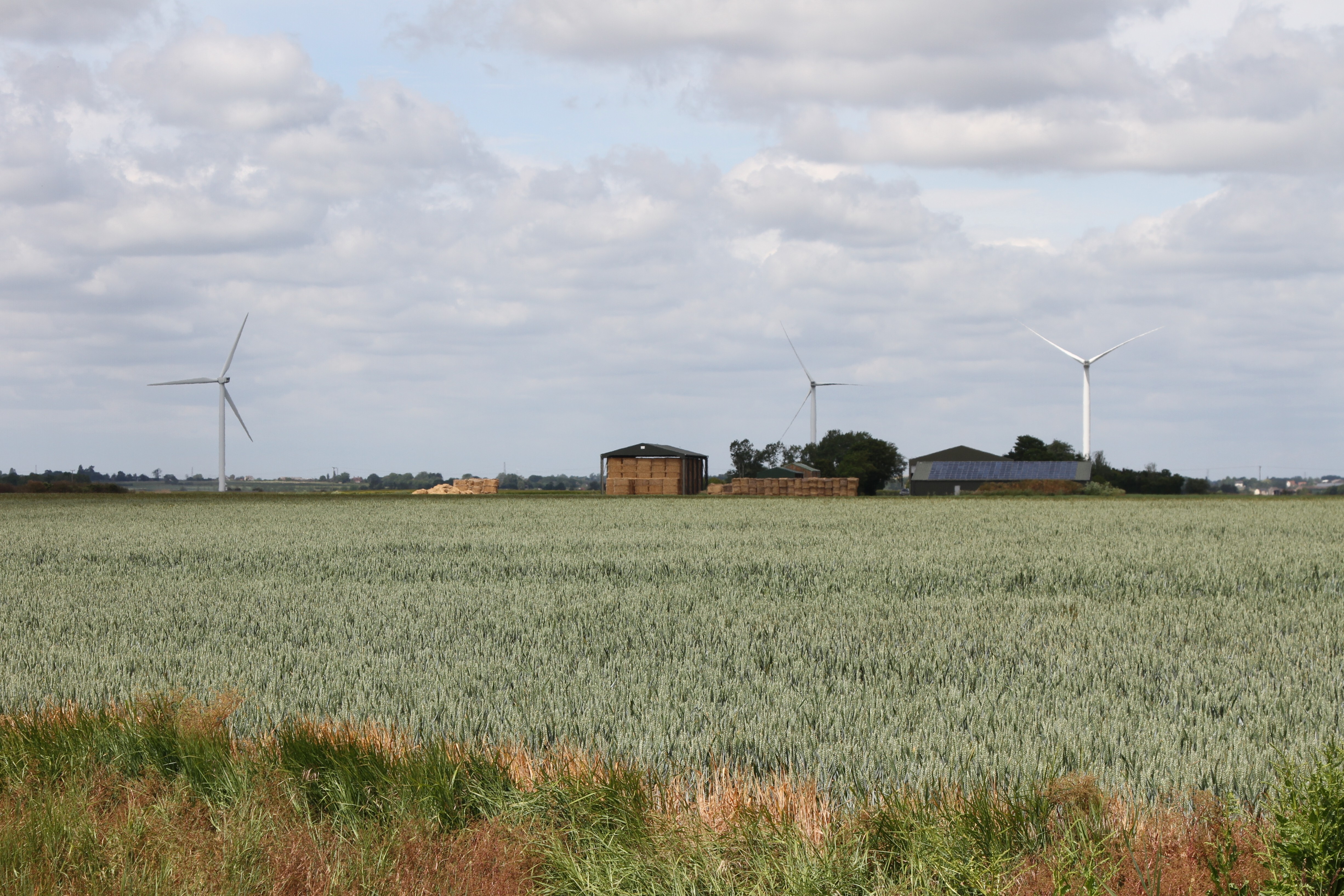 One Planet Developments granted planning permission on Essex solar farm image