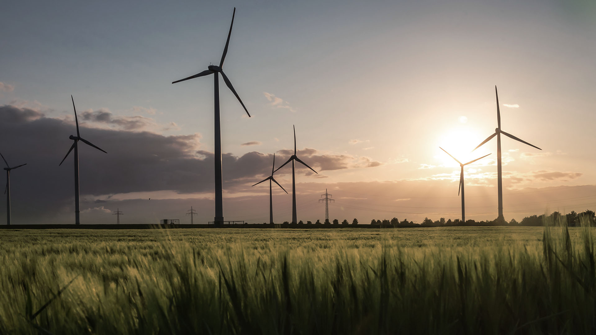 A test case for Europe: what the new wind market conditions in Poland mean for SMEs image