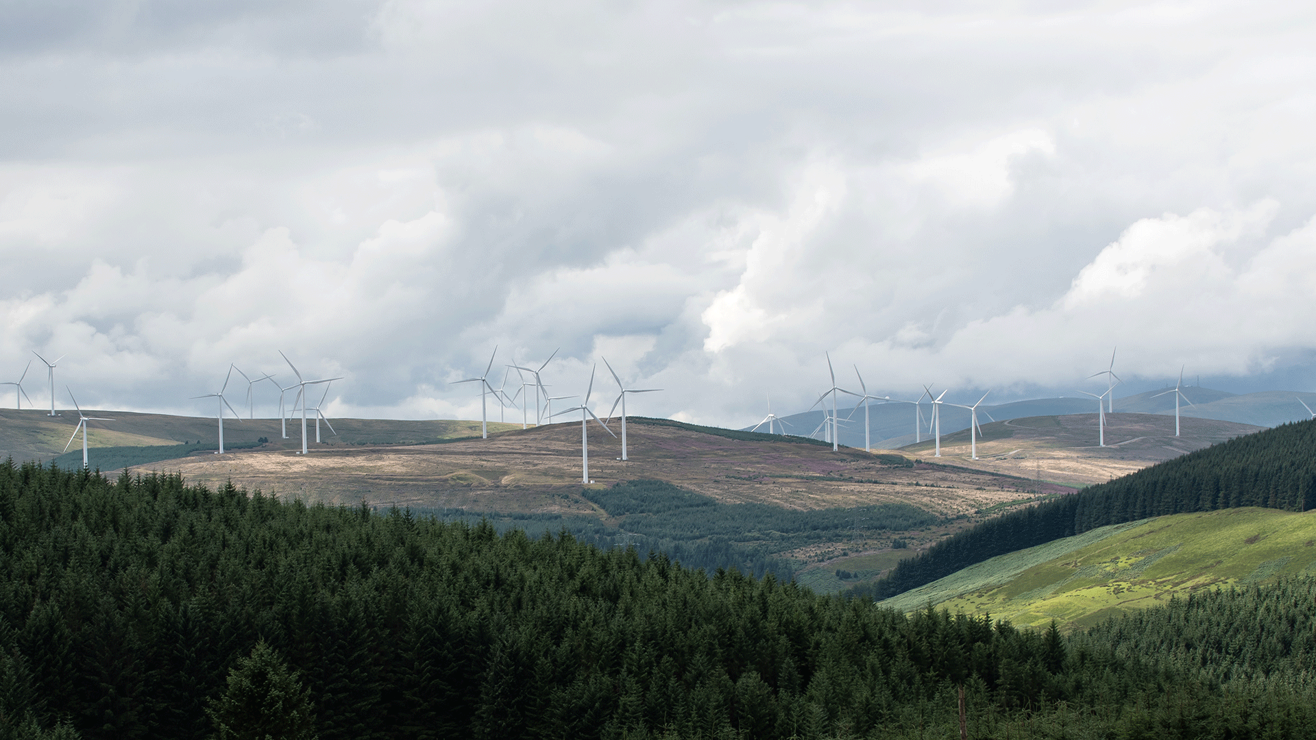 Natural Power appointed by ScottishPower Renewables to expand support for Scottish windfarm operations image
