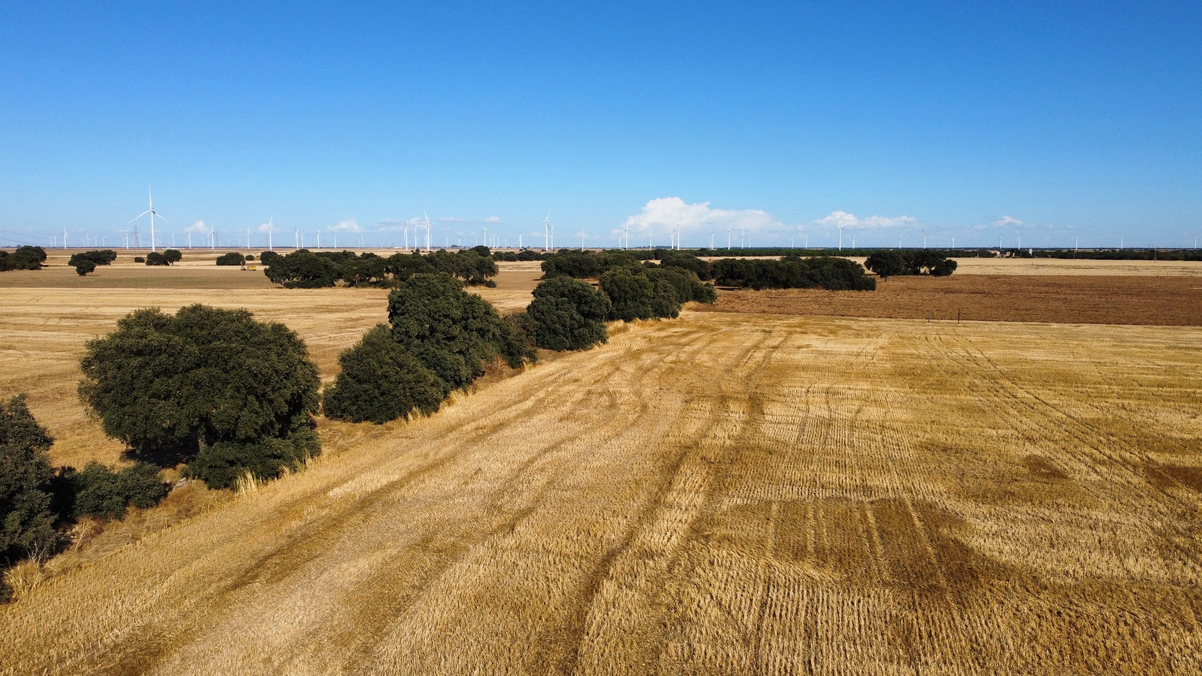 Nadara’s first Spanish hybrid solar-wind project begins construction image
