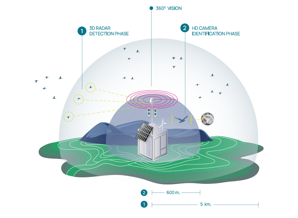 Protecting avian biodiversity with artificial intelligence: redefining wind farm O&M standards image