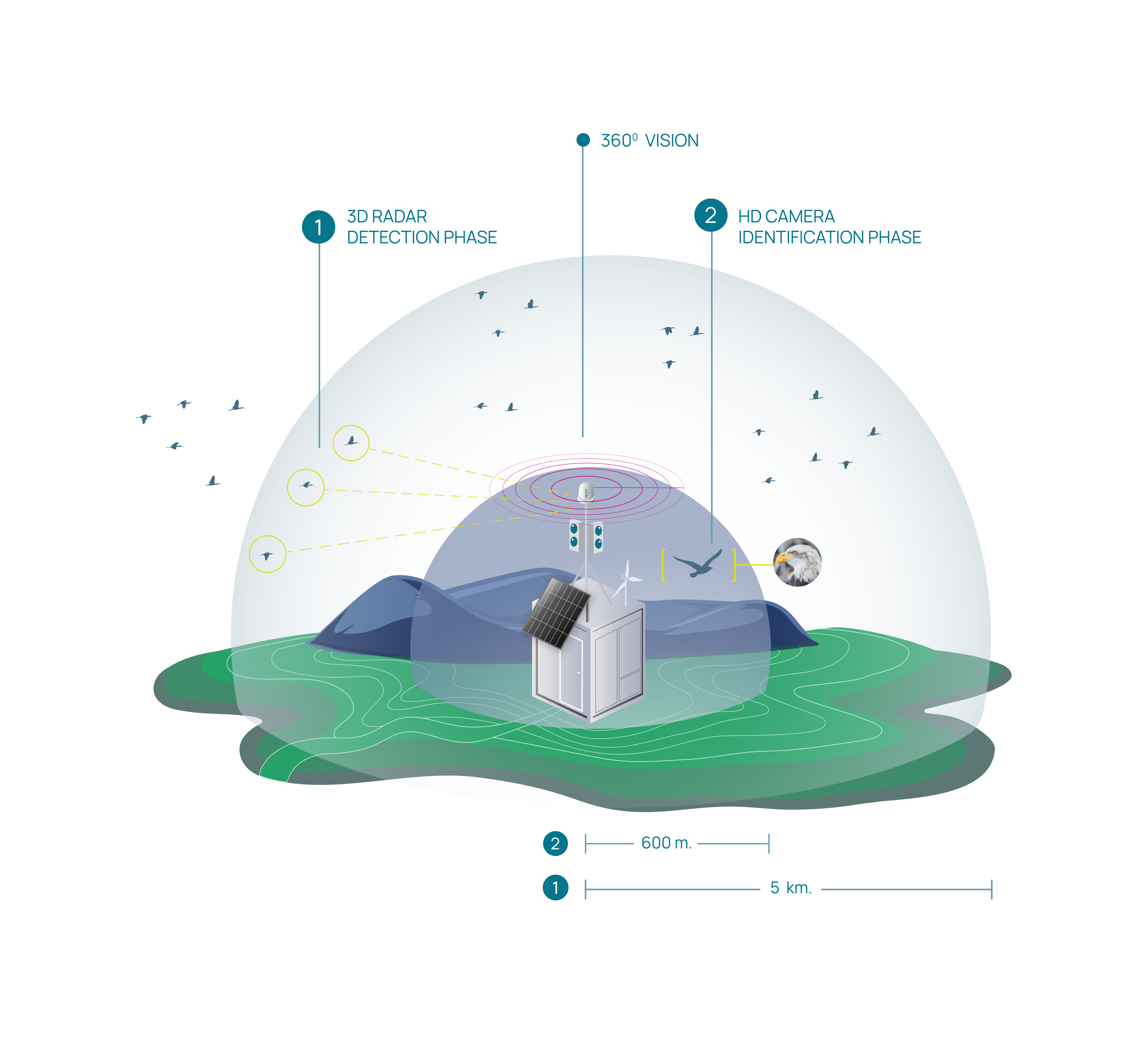 AI-driven avian protection: redefining biodiversity safeguards in modern wind farms image