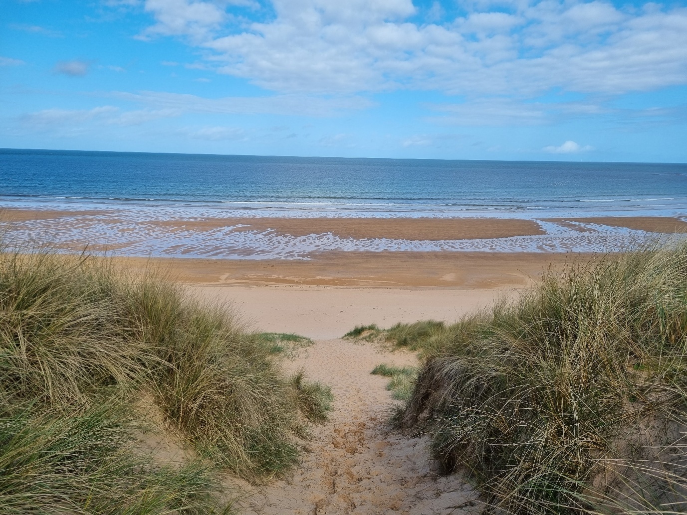 Salamander Offshore Wind Farm secures critical offshore consent award image