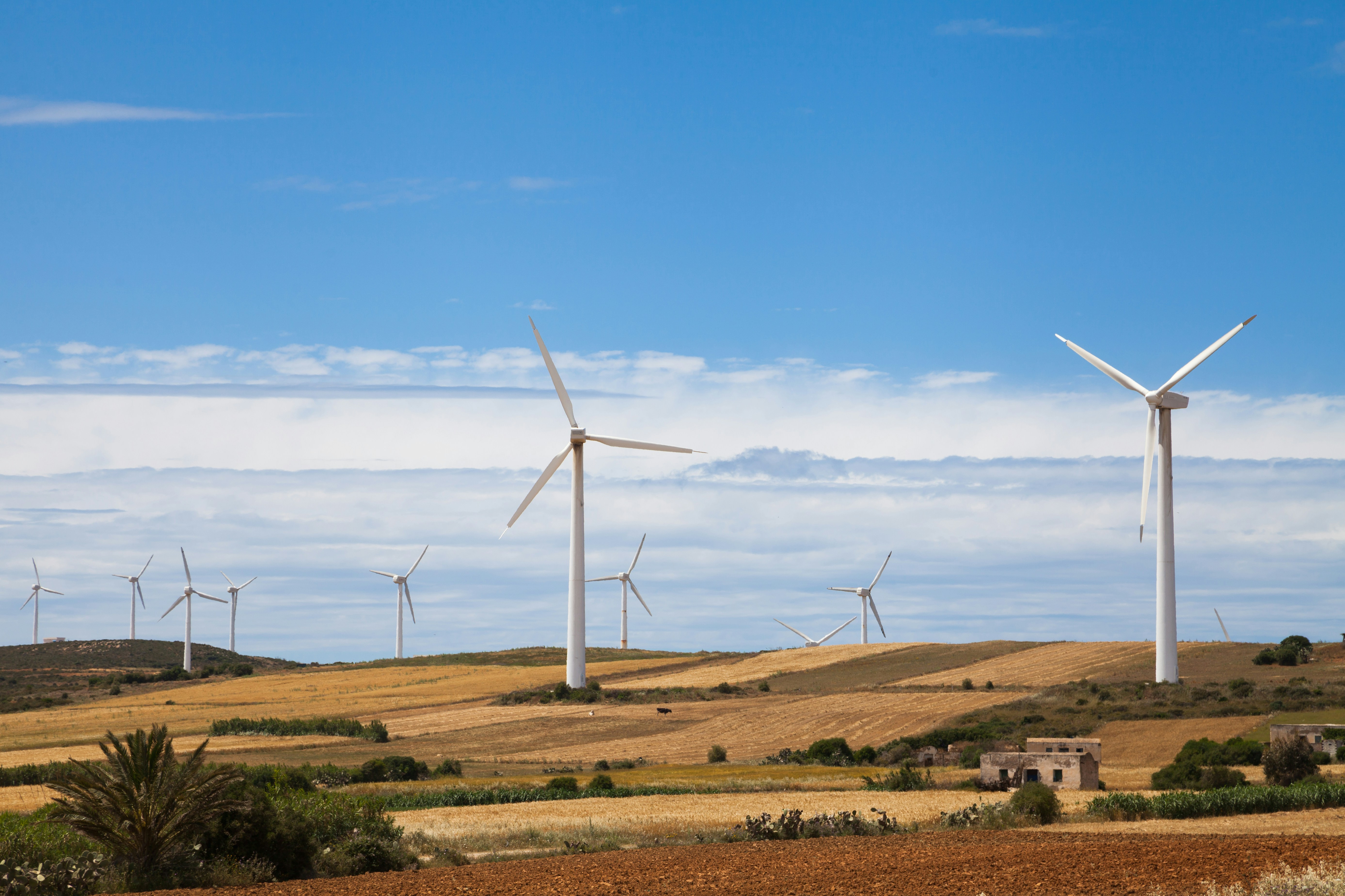 The new face of wind leadership image