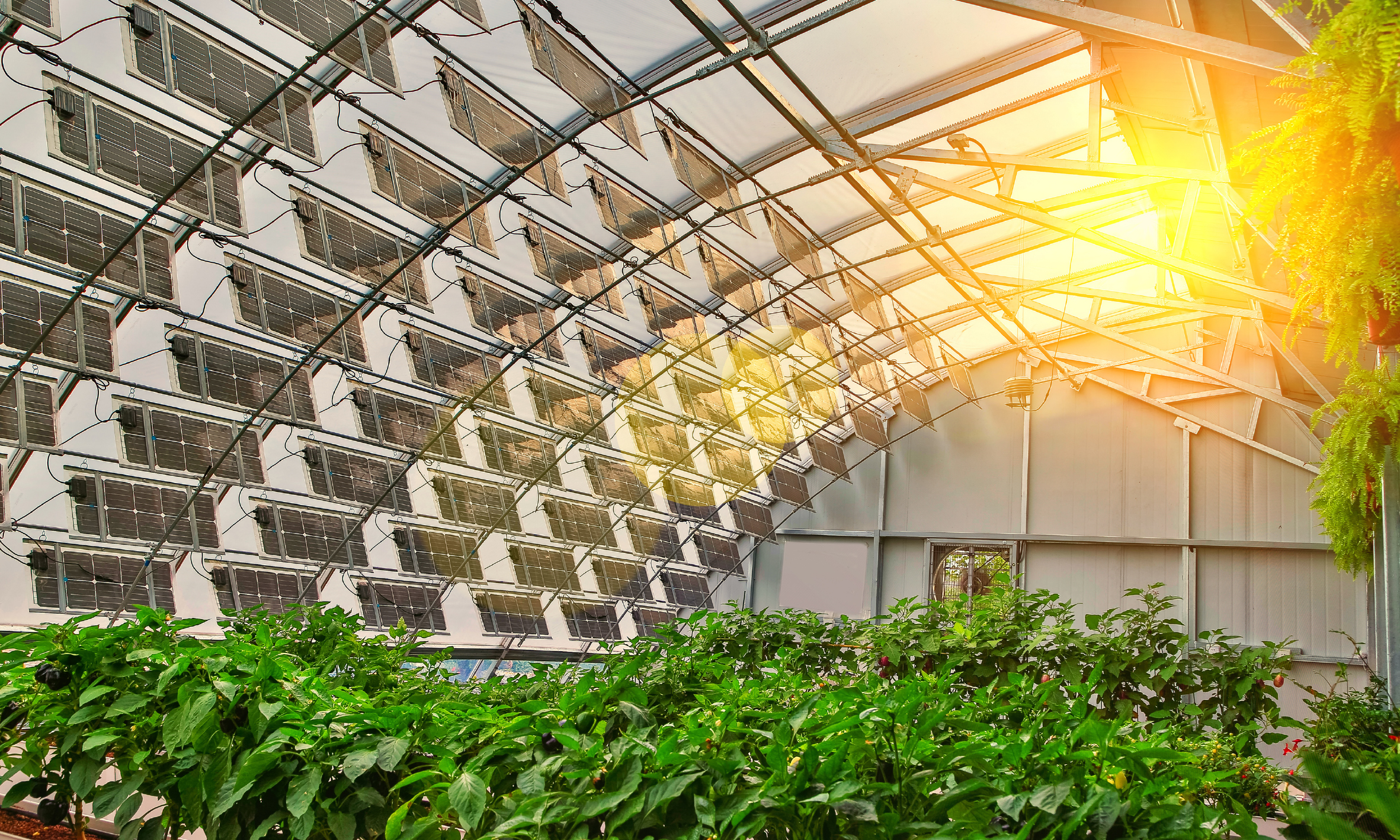 From photovoltaics to prosumer: redefining C&I inverters for Europe’s energy future image