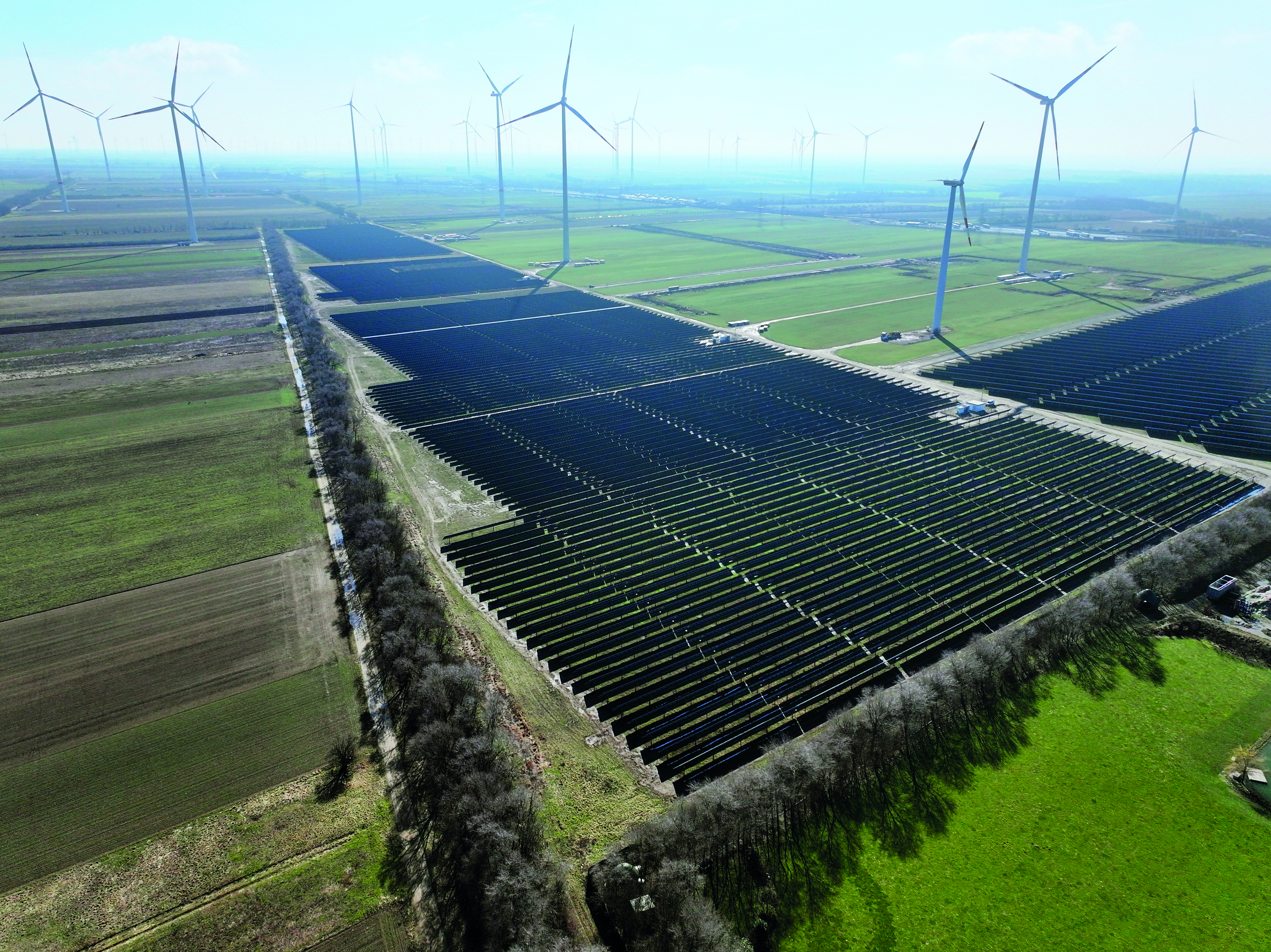 Don’t change your surroundings, adapt to them image