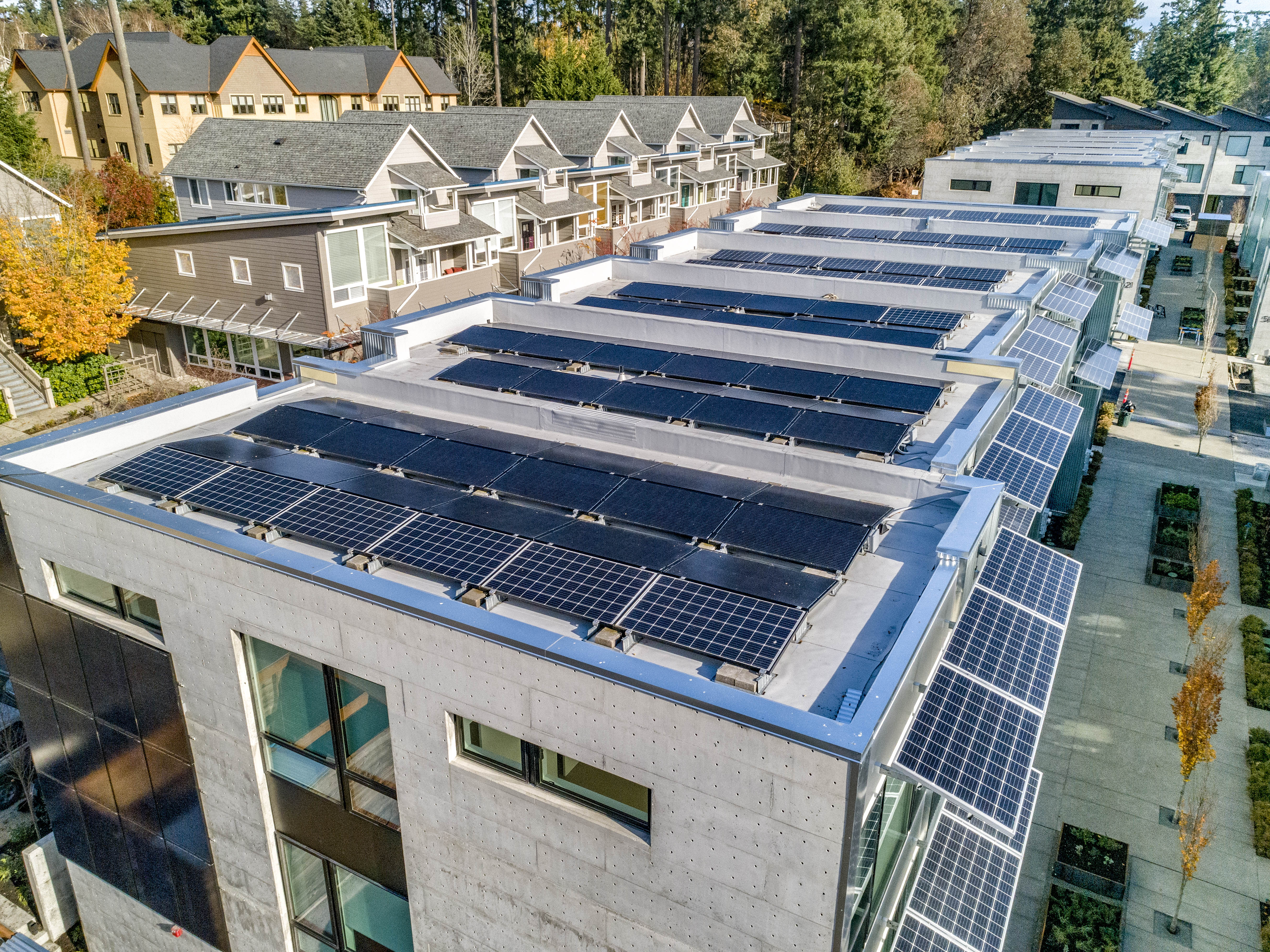 How micro-solar could widen access to UK solar image