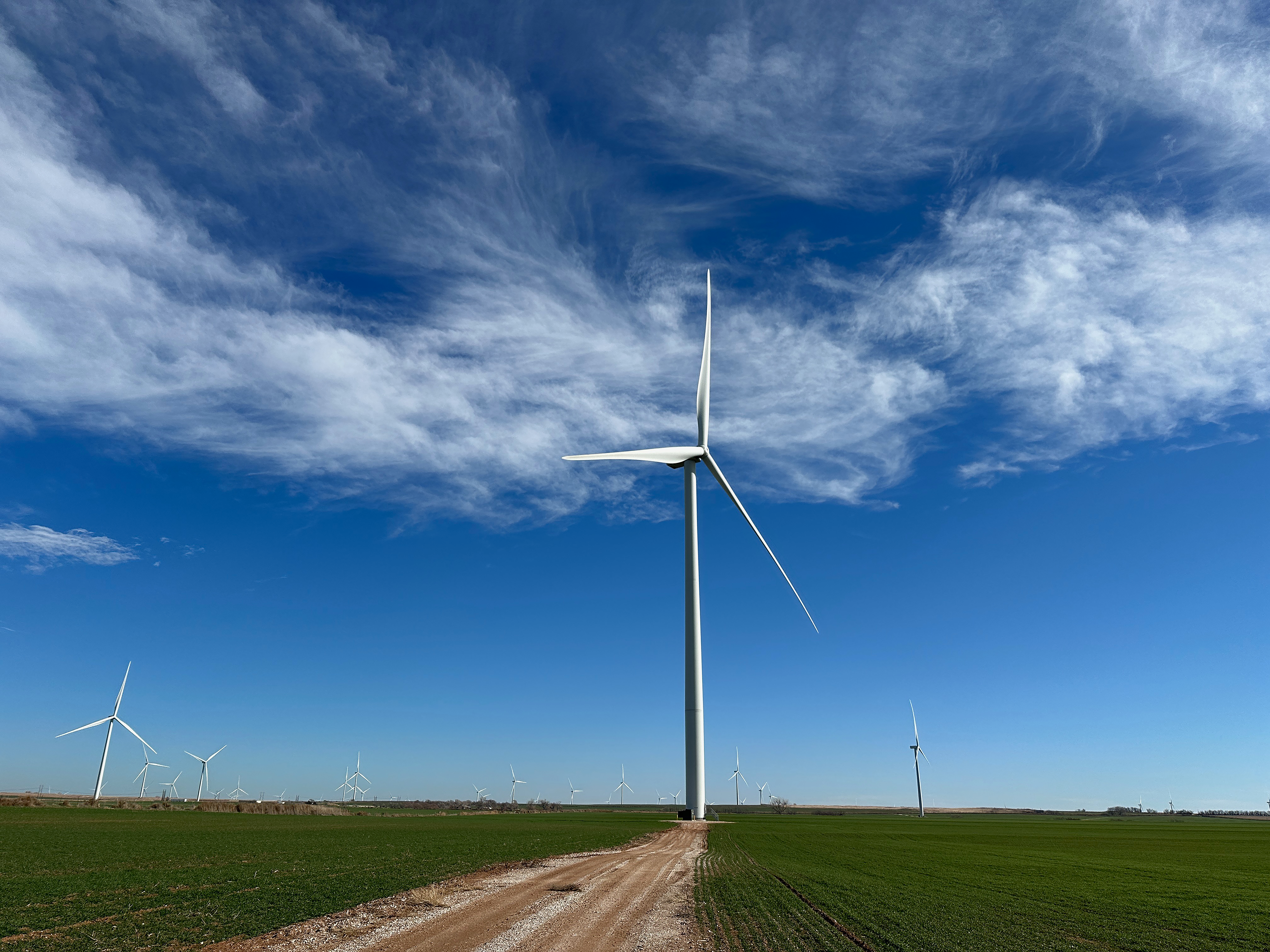 Global fleet, local knowledge: closing wind’s expertise gap image