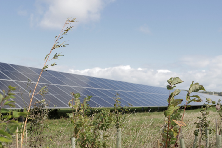 Enviromena named as one of Thames Valley’s 250 most successful companies image