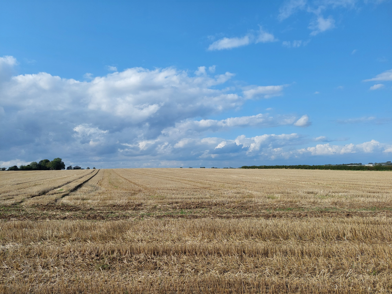 Enviromena wins approval for 35MW East Yorkshire solar farm image