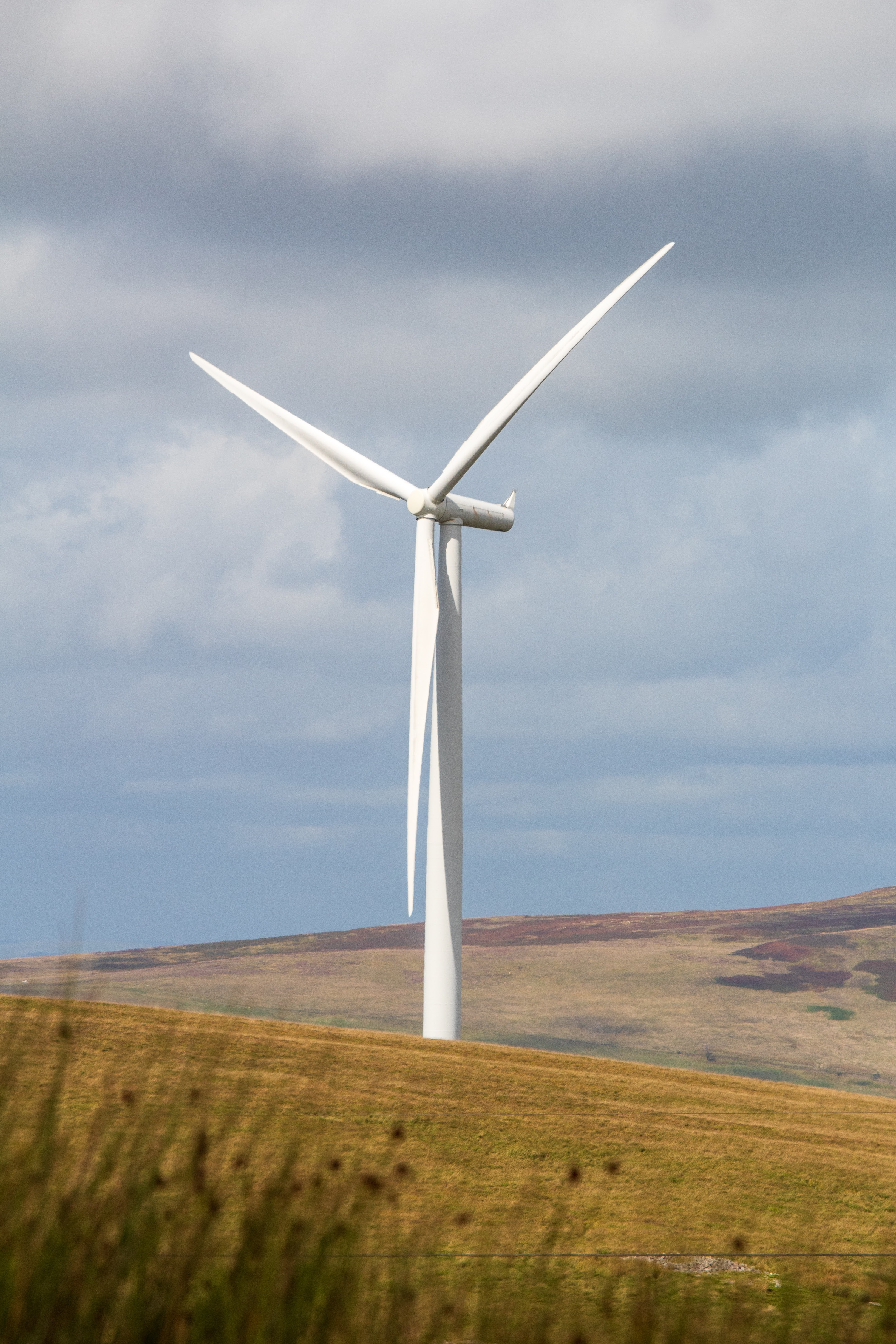 Caeli launches free Wind Energy Site Check for UK landowners image